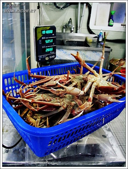 정동진민박 이미지