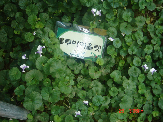 봉황농협 이미지