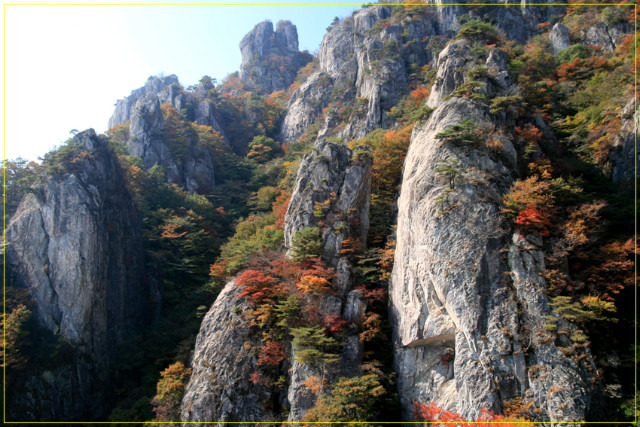 오서방 이미지