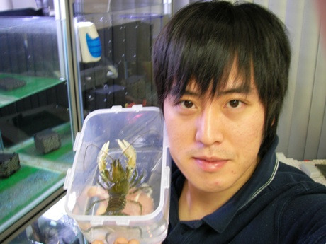 머레이크랩 이미지