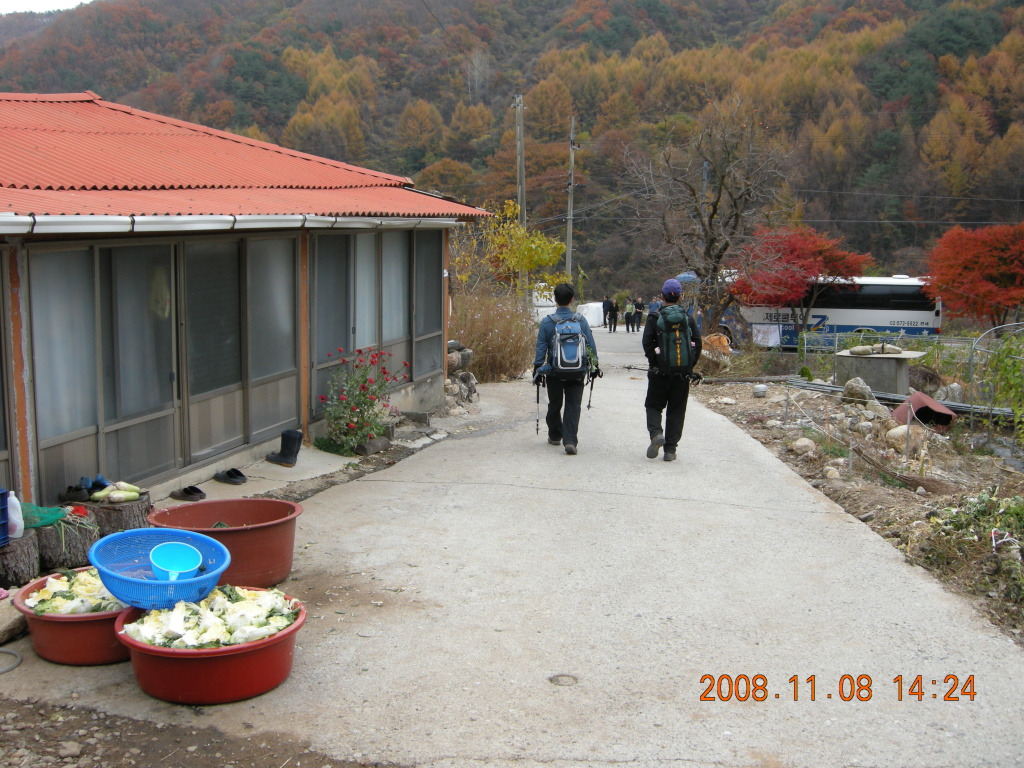 수분재 이미지