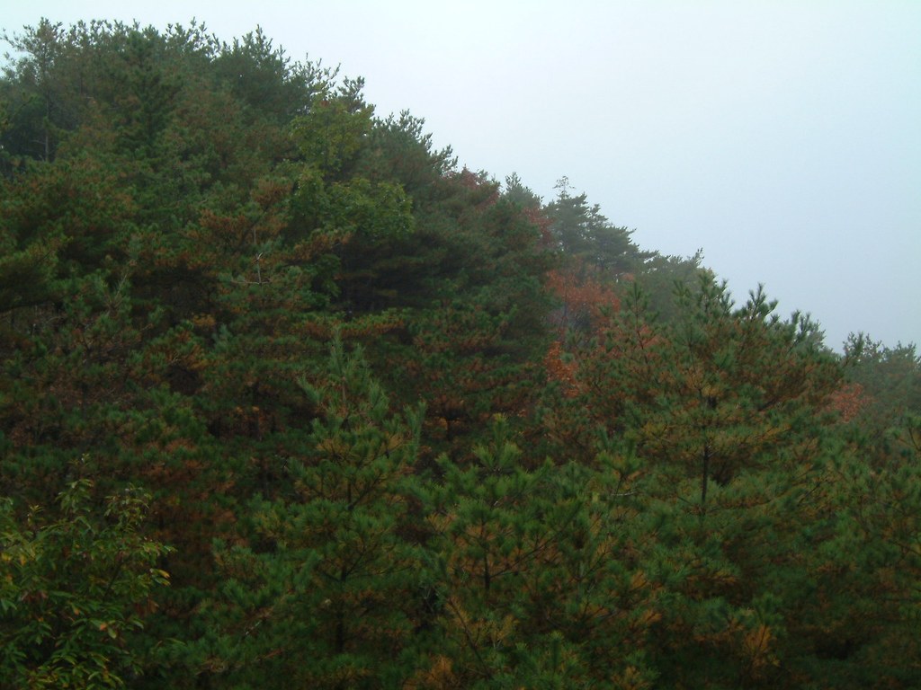 앞산공원 이미지