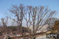 사랑방&쉼터 이미지