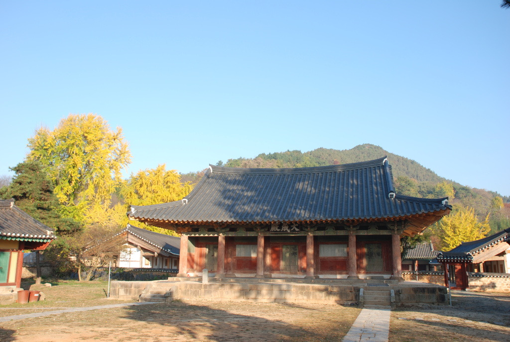 천년의아침 이미지