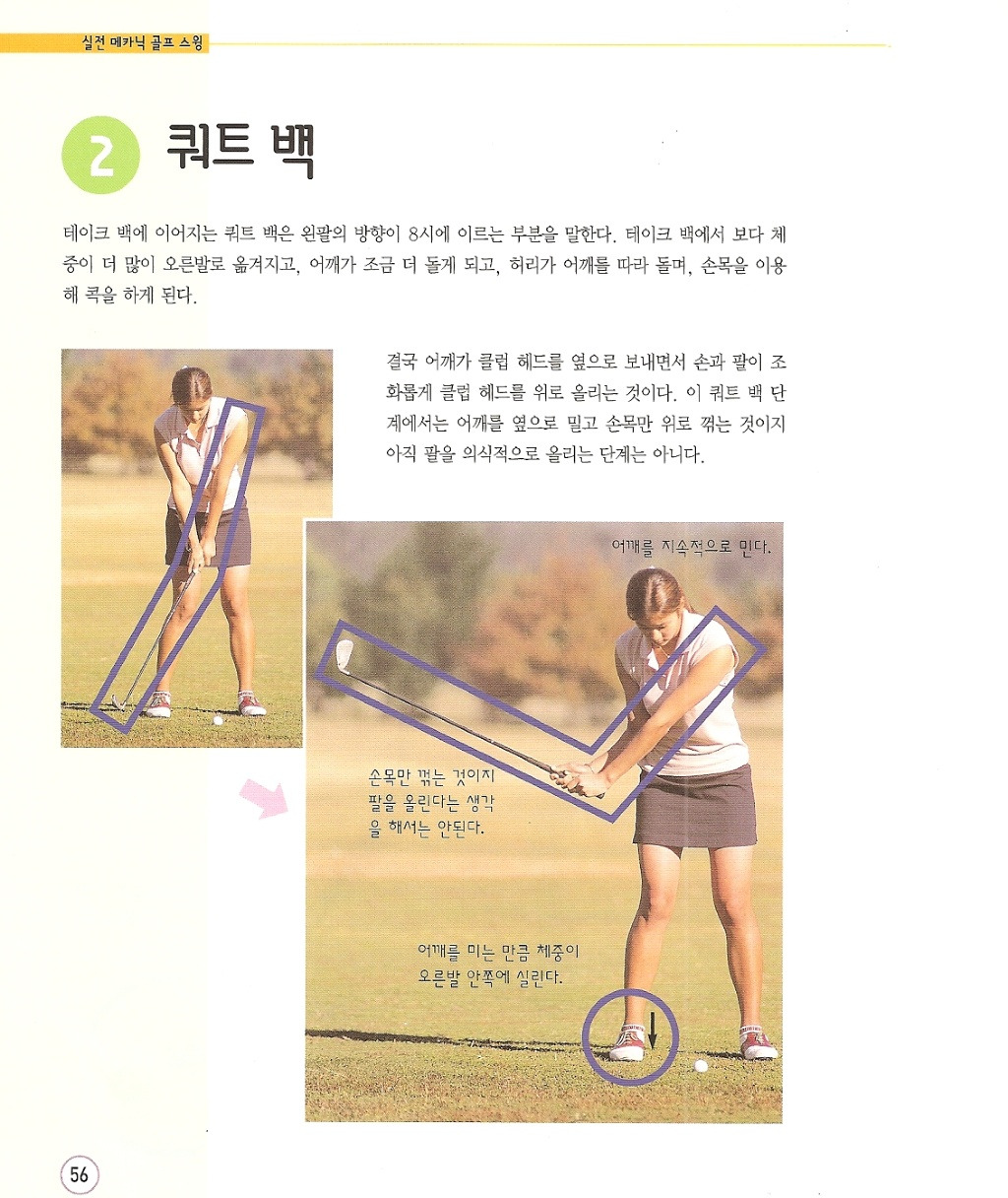 쿼트 이미지