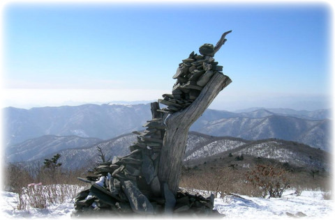 강대 이미지