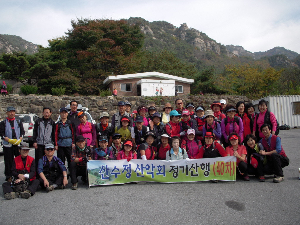산수정 이미지